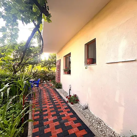 In Jonis House * Vlore