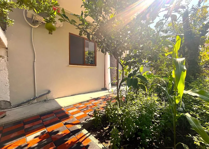 In Jonis House * Vlorë